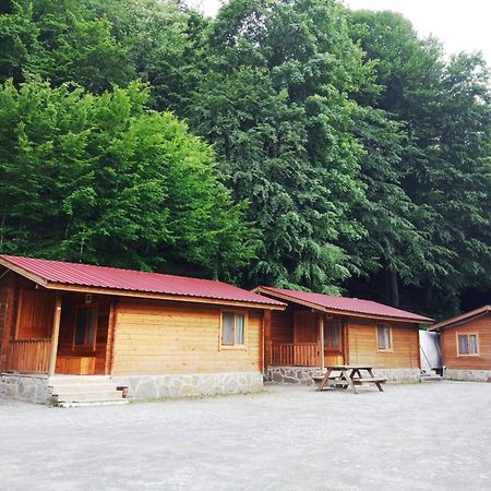 Gasthaus Habitat Mesire Mengen Exterior foto