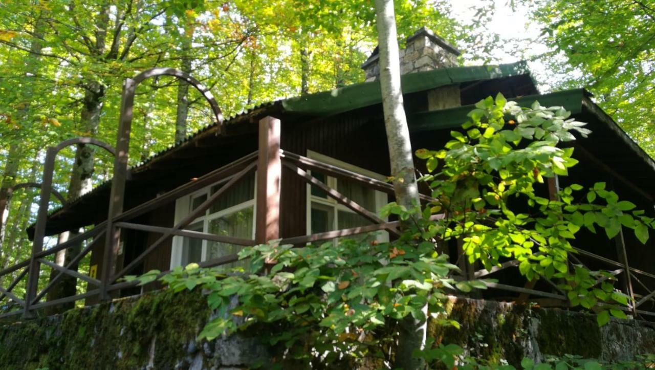 Gasthaus Habitat Mesire Mengen Exterior foto