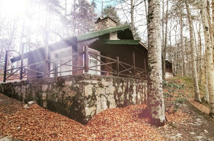 Gasthaus Habitat Mesire Mengen Exterior foto