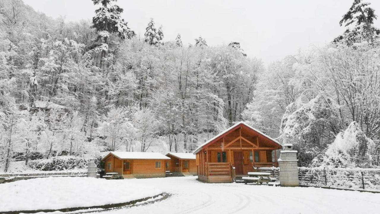 Gasthaus Habitat Mesire Mengen Exterior foto