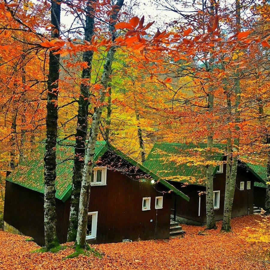 Gasthaus Habitat Mesire Mengen Exterior foto