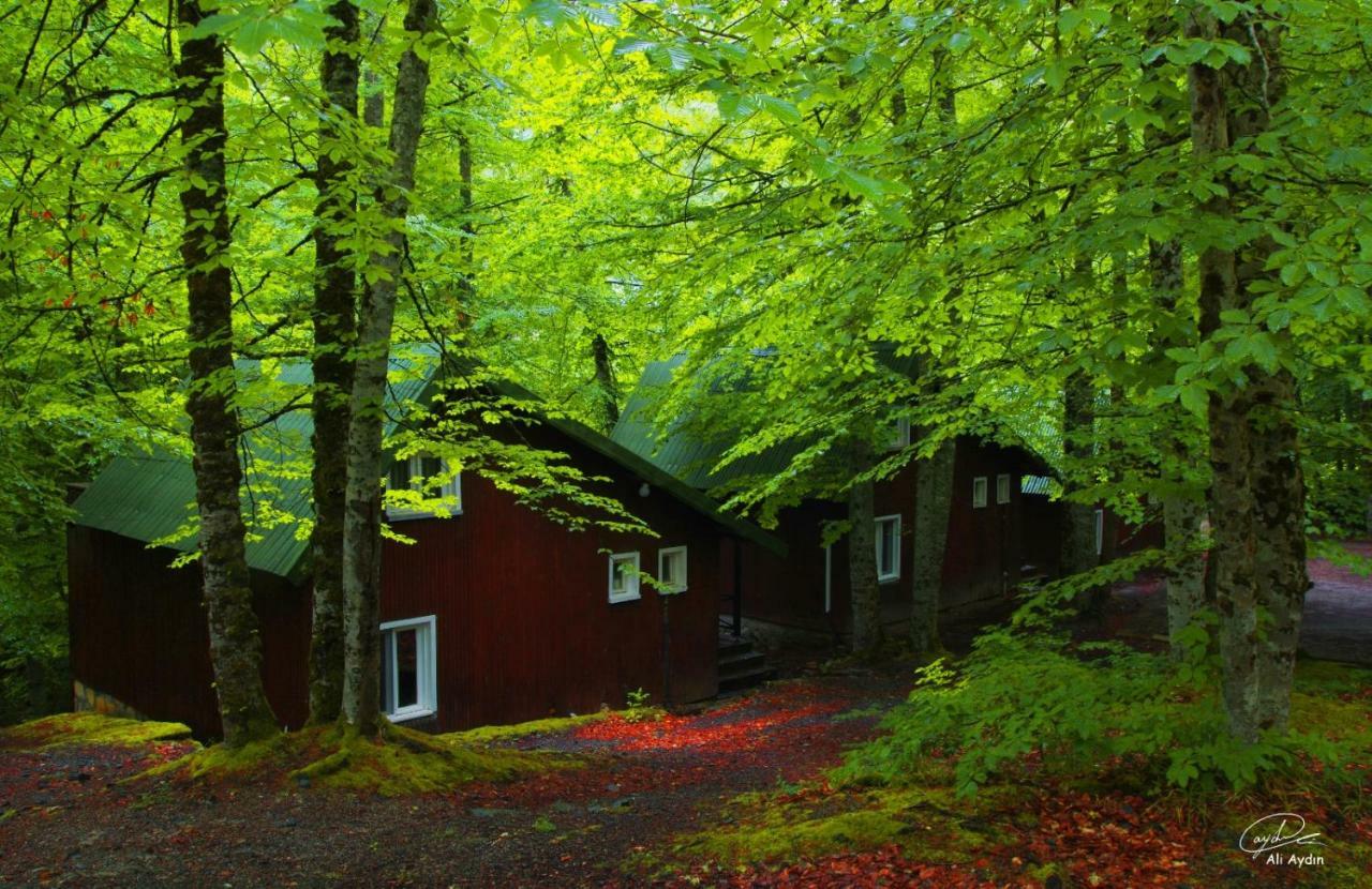 Gasthaus Habitat Mesire Mengen Exterior foto